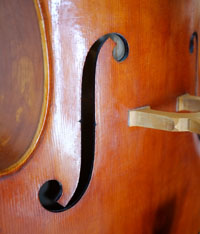 Double Bass f-hole